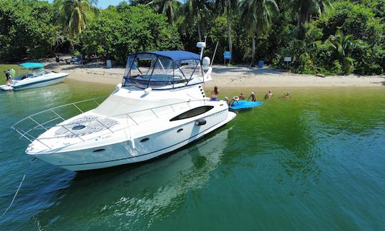 Regal 43' Luxury Yacht for Charter and Party in Florida