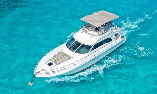 Naviguez sur Amazing Sea Ray (53 pieds) avec un flybridge, parfait pour 22 personnes (min 4 heures)