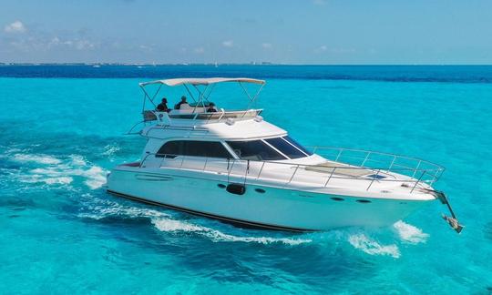 Naviguez sur Amazing Sea Ray (53 pieds) avec un flybridge, parfait pour 22 personnes (min 4 heures)