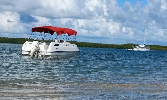 Lancha motora Chaparral de 23 pies con cubierta Bimini para alquiler diario 