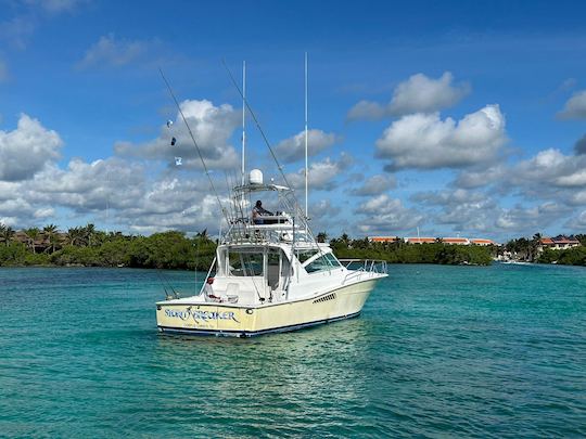 Barco Viking de 43 pés - Barco elegante e poderoso, incrível para pesca e mergulho com snorkel