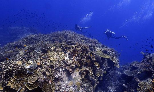 Scuba Diving with B&J