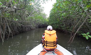 Mangrove Point Kalpitiya - Boat Trip