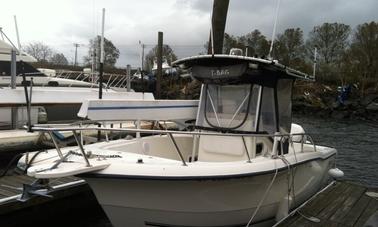 Fishing Charter on Sea Boss Center Console Boat in Brooklyn, New York