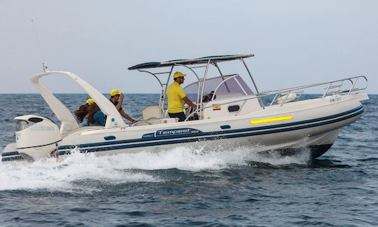 Capelli 900 WA RIB for Rent in Can Pastilla, Illes Balears