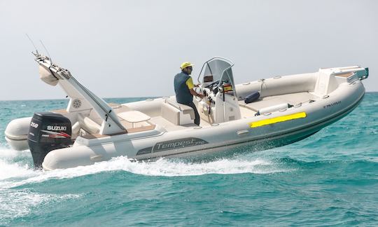 Capelli Tempest 770 Sun RIB 250HP Rental in Can Pastilla, Illes Balears