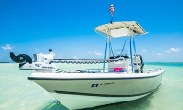 Explore the waterways of the Paradise Coast in Naples Florida