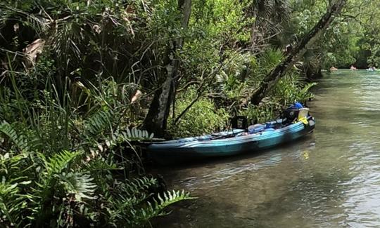 ¡Kayak tándem limpio y cómodo para alquilar! ¡Chalecos salvavidas y remos incluidos!