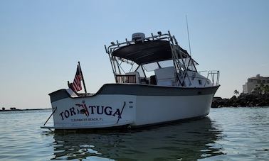 Alquiler del yate a motor Alura «Tortuga» Luhrs Craft en Clearwater, Florida