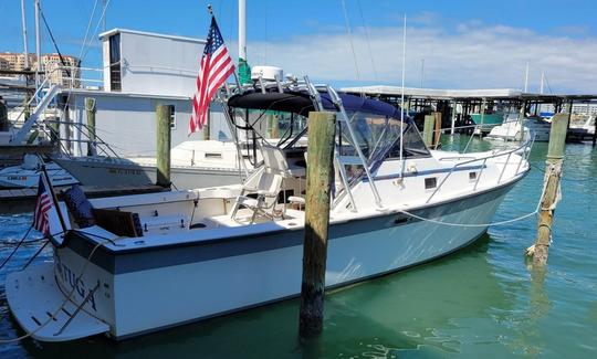 Alquiler del yate a motor Alura «Tortuga» Luhrs Craft en Clearwater, Florida