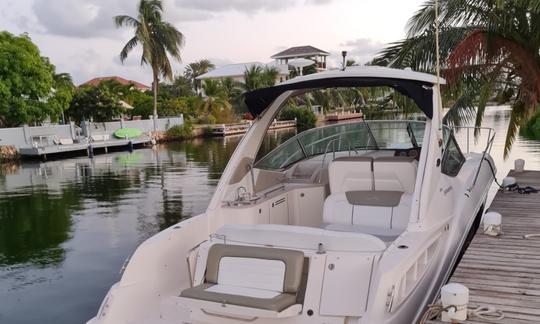 31ft SeaRay Sundancer Luxury Boat Chartering in Grand Cayman