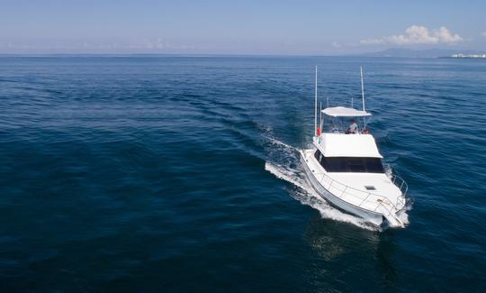 Bateau de pêche Bertram 38 pieds à Puerto Vallarta