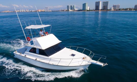 Bateau de pêche Bertram 38 pieds à Puerto Vallarta