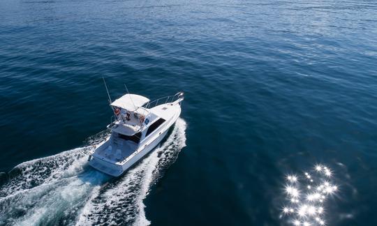 Bateau de pêche Bertram 38 pieds à Puerto Vallarta