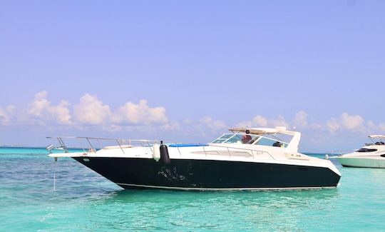 Luxury Private yacht Sea Ray 46 ft Cancun