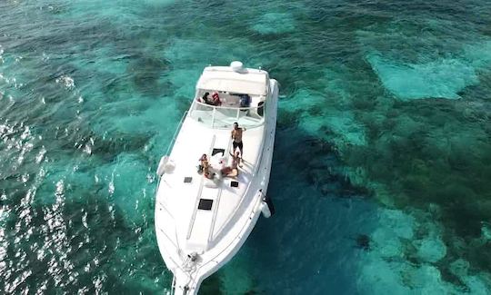 Luxury Private yacht Sea Ray 46 ft Cancun