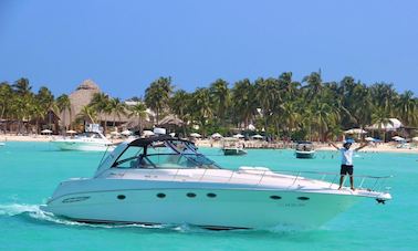 Private Yacht SeaRay 46ft Cancun, Quintana Roo