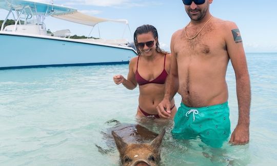 39FT VENTURE CENTER CONSOLE - SWIMMING ALL INCLUSIVE PIGS TOUR TO EXUMA