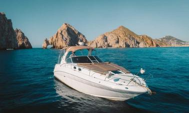 Luxury Sea Ray Motor Yacht Charter in Cabo San Lucas, Mexico