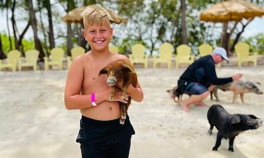 45ft Speedboat (COBALT) Tour to swimming pigs and turtles in Eleuthera