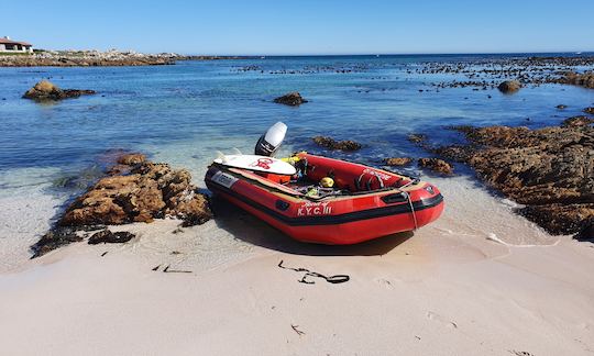 Aluguel de patos de borracha infláveis Gemini de 5 m em Strand, Western Cape