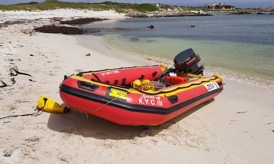 Aluguel de patos de borracha infláveis Gemini de 5 m em Strand, Western Cape