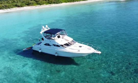 Hermoso y espacioso yate Flybridge de 47 pies en Tulum y Playa (todo incluido)