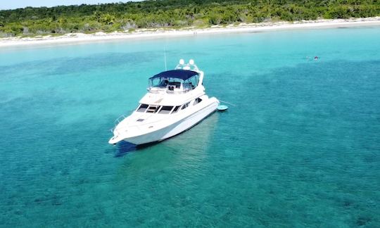 Hermoso y espacioso yate Flybridge de 47 pies en Tulum y Playa (todo incluido)