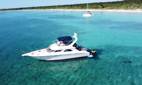 Hermoso y espacioso yate Flybridge de 47 pies en Tulum y Playa (todo incluido)