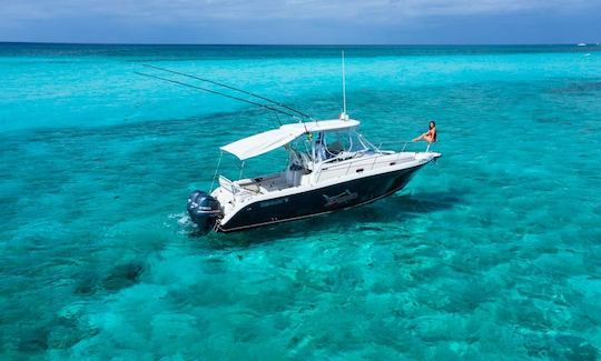 Century 34 Center Console for fishing, or visiting El Cielo Cozumel