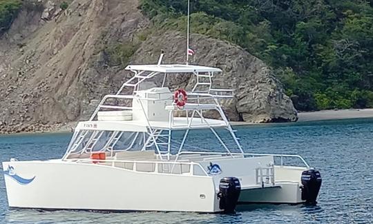 Croisière en catamaran à moteur personnalisé de 39 pieds pour une aventure à Jacó