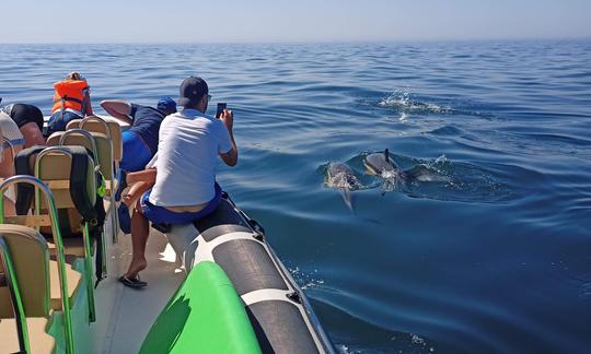 Avistamiento de delfines y recorrido por playas secretas en Sesimbra