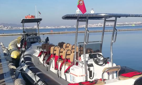 Tour privado de observación de delfines en Troia, municipio de Setúbal