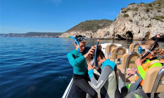 Avistamiento de delfines y recorrido por playas secretas en Sesimbra