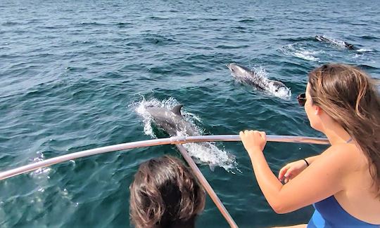 Exclusive Yacht Dolphin Watching Tour in Sesimbra