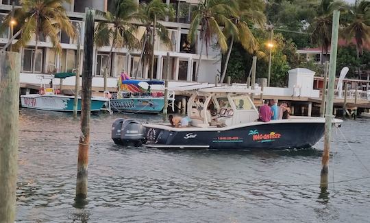 Aventura de langosta en las Islas Turcas y Caicos