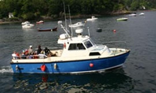 Stardust Boat Trips Portree, Isla de Skye