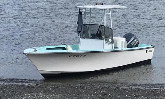 La consola central SeaCraft de 20 pies recorre el Intracoastal