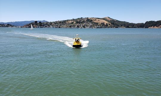 Fast and Fun Bridge and Wildlife Cruise on San Francisco Bay