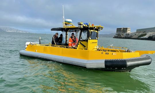 Fast and Fun Bridge and Wildlife Cruise on San Francisco Bay