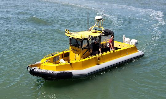 Fast and Fun Bridge and Wildlife Cruise on San Francisco Bay