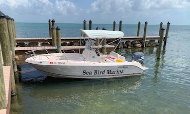 ¡Consola central Cobia 19.4! Barco perfecto para pescar, bucear y navegar.