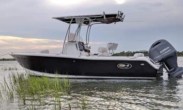 Sea Hunt 211 Ultra Boat en alquiler en Beaufort, CAROLINA DEL NORTE