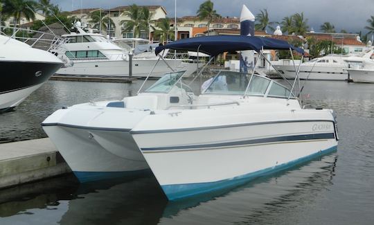 Lovely Glacier Bay 26' Catamaran Cruiser in Puerto Vallarta