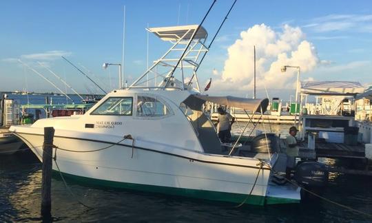 34' Fishing Charter in Isla Mujeres, Mexico