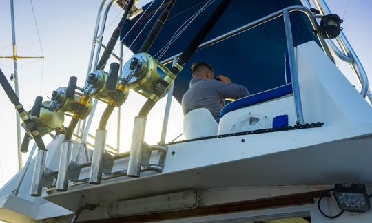 Barco de pesca Shannon Brendan 32 de 32 pés em Ponta Delgada