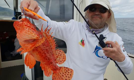 Barco de pesca Shannon Brendan 32 de 32 pés em Ponta Delgada