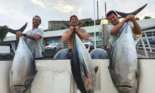 25' Rodman 747 PLUS Fishing Charter In Vila Franca Do Campo