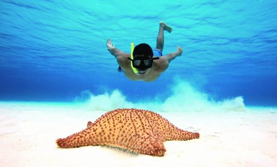 Excursion panoramique en bateau de 36 pieds à Egg Harbor et plongée avec tuba à San Miguel de Cozumel