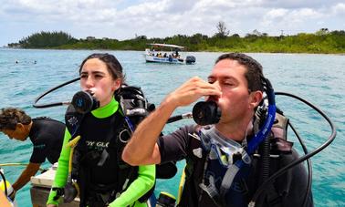 Diving Trip in San Miguel de Cozumel